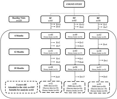 Association study between hypothalamic functional connectivity, early nutrition, and glucose levels in healthy children aged 6 years: The COGNIS study follow-up
